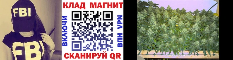 Где продают наркотики Пустошка Бошки Шишки МДМА Меф Кокаин