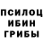 Галлюциногенные грибы Magic Shrooms VseslavBlack