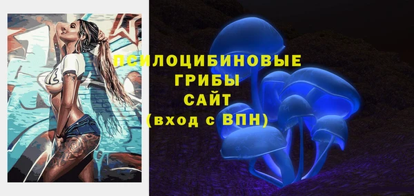 герыч Алексин
